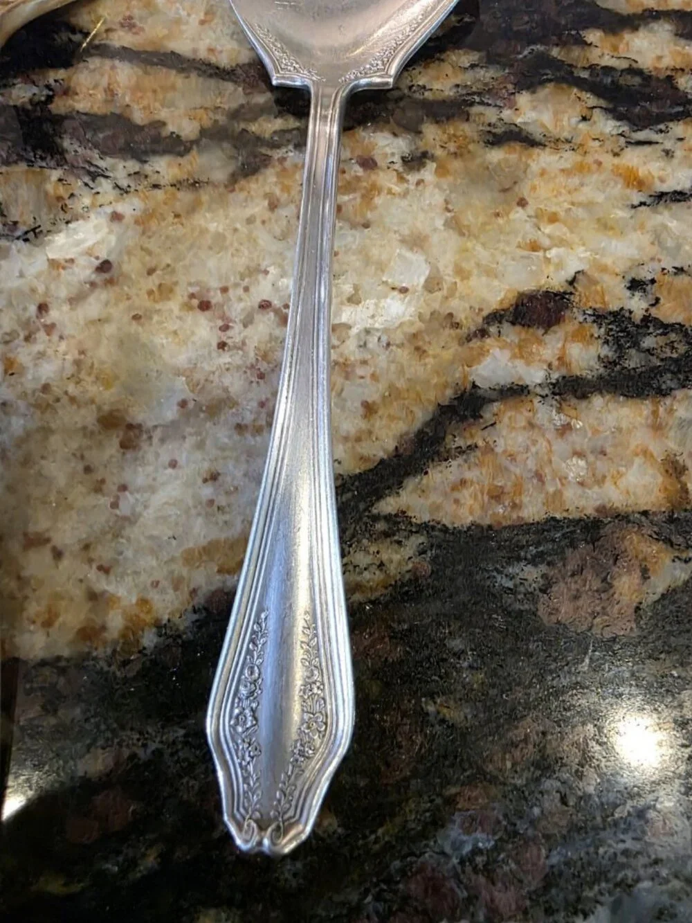 Dirilyte Service Pieces Spoon Fork w Rodgers and Bro Serving Spoon